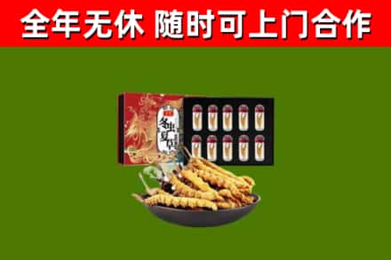 清远回收冬虫夏草价格